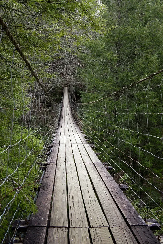 KRB Graphics photography nature & outdoors – bridge